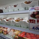 월야농장 이미지