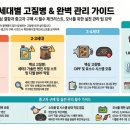 기아 쏘렌토 고질병 총정리｜올뉴쏘렌토 UM·MQ4·하이브리드 중고차 구매 전 필수 체크리스트