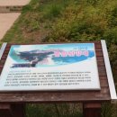 통일전망대주유소 이미지