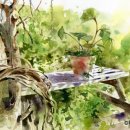 수채화(오후) 이미지