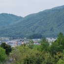 서성초등학교 이미지