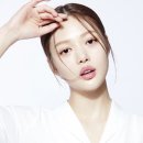 콜라보엑스