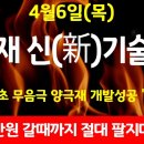 [긴급속보]🔥4월에 1000% 수익낼 2차전지 리튬 단한종목! 삼성SDI 픽 인수합병 무상증자 미친종목 작정하고 올린다! 금양 성일하 이미지