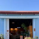 다육사랑화원 | [JEJU🍊제주] 제주도 서쪽 플랜트샵 애월 식물 가게, 여름숲