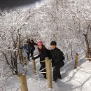 안성면104 Daum카페