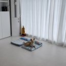 달과7펜스 이미지