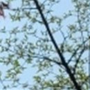 방치과의원 이미지