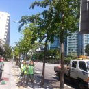 기동반-45 이미지