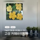 바우지움 조각 미술관 | 🎨 고성 놀거리 / 바우지움조각미술관