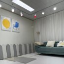 아파트 층간소음 매트 상담 리얼 후기 / 알집 매트 시흥쇼룸 방문 체험기 / 층간소음 매트 추천