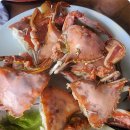 대하민박 이미지