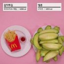 몸이예뻐짐 이미지