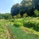 이광수농장 이미지