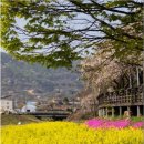 금산천1길 이미지