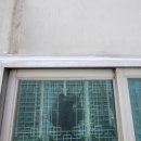 제니스타운 이미지