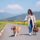 자연은동물병원 | 펫 동반 가능 숙소 비교 (펜션, 호텔, 캠핑)