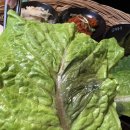 대동집풍무점 이미지