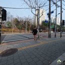 백세문 | 불암산에서 트레일러닝 연습! 장수 트레일 레이스 대회 전 마지막 훈련인데 아쉬운 점?