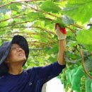 한시열농장 이미지