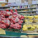 굿데이동물병원 이미지