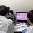 경기도 북부동물위생시험소 이미지