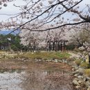 국원고등학교 이미지