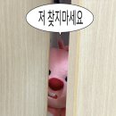 오늘의케이크
