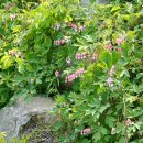 용담면행정복지센터 이미지