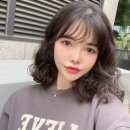 수연 이미지