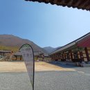컴포즈커피장흥 이미지