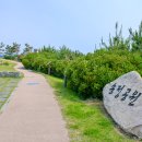 송정공원1(공원) 이미지