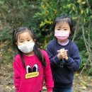 저청초등학교 병설유치원 이미지