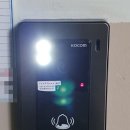 이단지비디오 이미지