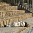 클럽미즈라미체의원 이미지