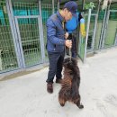 양덕동458 이미지