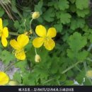 주식회사코리아나화장품