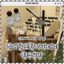 인천향수공방 '열매달 조향 아카데미&향수공방' | 하나뿐인 인생 향수 만들고 온 솔직 후기