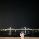 삼익비치타운아파트 | [광안/26.03] : 남천동 벚꽃거리 개화상황(삼익비치벚꽃/03.27)