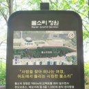 양재천 연인의 거리 이미지