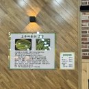 육일식당송천직영점 이미지