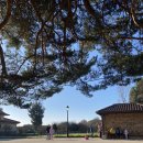 [카미노 데 산티아고, 프랑스길] Day+8, Astroga &gt; Rabanal del Camino(19.8km)