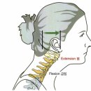 기본 필라테스&피티# 이미지