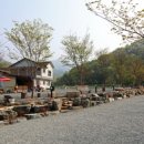 마중펜션캠핑장 이미지