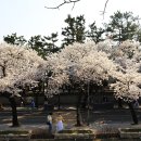 신라고등학교 이미지