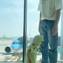 남가원 | 돌아기 3박4일 제주도여행 - 일정, 가볼만한 곳, 준비물, 숙소 등