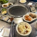 도야덧살