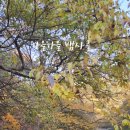 뱀사골자동차야영장 | 뱀사골2야영장 명당, 온수, 전기, 캠핑 월동준비, 뱀사골계곡 단풍, 뱀사골힐링야영장, 뱀사골자동차야영장