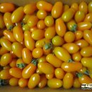 큰부자농장 이미지