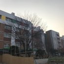 인천동수초등학교 이미지