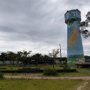 순흥의 연리지송 이미지